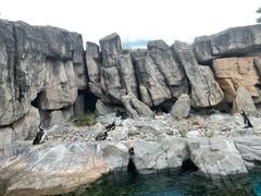 -上海野生动物园