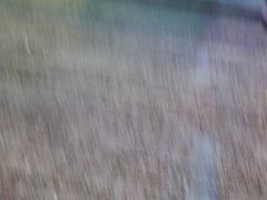 -瑞杰烧烤店·24小时营业(山东路店)