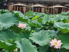 -四川大学(华西校区)