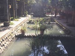 -水岸庭院·乡村柴火鸡