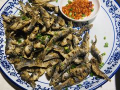 -高坎一品甲鱼庄(两河店)