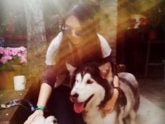 -百好乐宠物友好餐厅(朝外大街店)