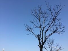 -周记卤菜店(广济北路店)