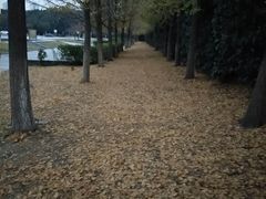 -金陵图书馆