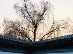 -菖蒲河公园