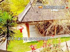 -基诺山寨.版纳民族特色菜