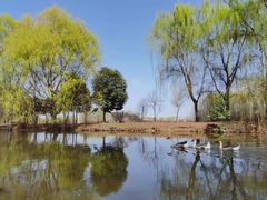 -西安浐灞国家湿地公园