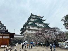 -名古屋城