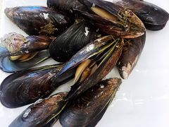 -渔中舟海鲜大排档(普陀沈家门店)