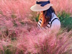 -艾溪湖湿地公园