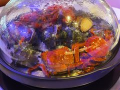 -半岛听涛蒸汽海鲜自助(K11店)