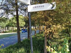-上海山野camping·户外天幕烧烤·团建拓展营地
