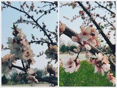 -门城湖公园