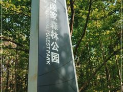 -青龙山国家森林公园