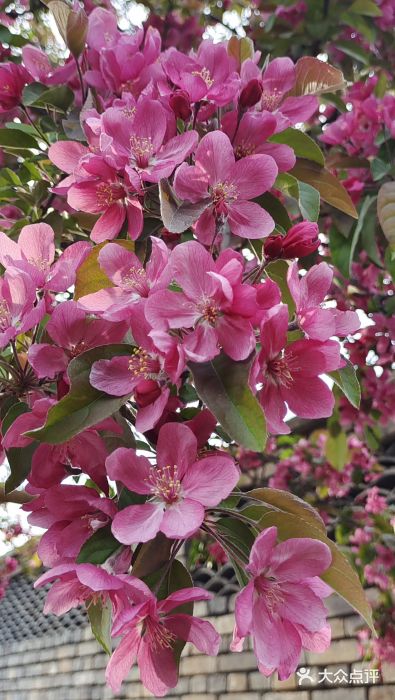 三里河公园图片