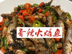 -壹盏灯(惠农店)