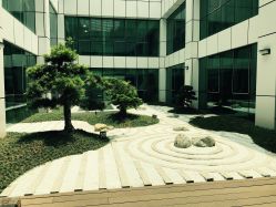 -广州和睦家医院·医学月子