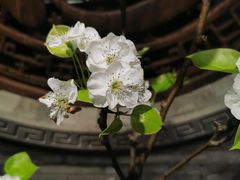 -凤凰山斑鱼馆(恭城店)