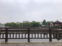 -东山香樟园