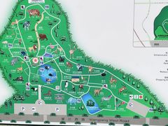 -合肥野生动物园