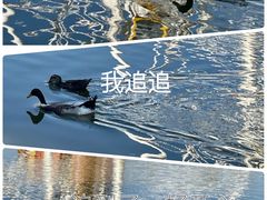 -汕头星城湾欢乐世界