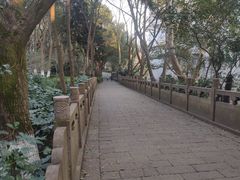 -杭州半山国家森林公园