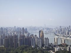 -南山植物园