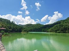 -广州白江湖森林公园