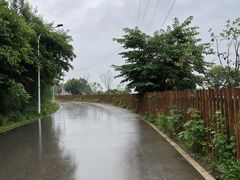 -青龙山国家森林公园
