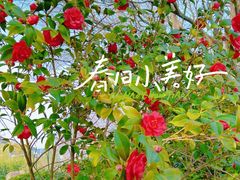 -七桥瓮公园