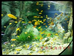 海洋世界-福州罗源湾海洋世界旅游区