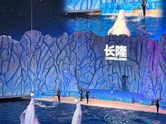 -珠海长隆海洋王国