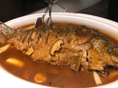 红烧黄河鲤鱼-阿五黄河大鲤鱼(英协路店)
