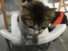 -一品格美术·中考高中成人美术培训