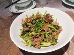 -壹盏灯(惠农店)