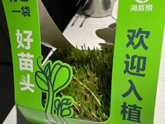 -海底捞火锅(国奥村店)