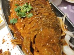 -肘子酥·天津菜·特色捞面(德云社店)