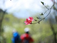 -午潮山国家森林公园