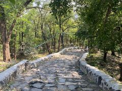 -阳台山自然风景区