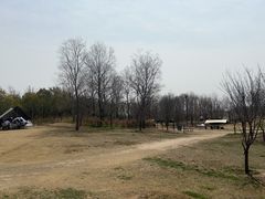 -洛阳市牡丹公园