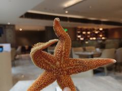 -西安高新希尔顿酒店·咖啡露台西餐厅