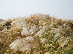 -下渚湖国家湿地公园科普馆