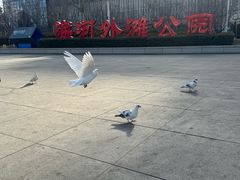 -海河外滩公园