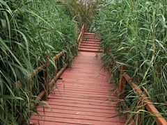 -燕郊植物园