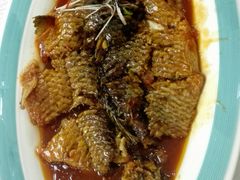 罾蹦鲤鱼-红旗饭庄
