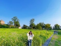 -汉长安城未央宫国家考古遗址公园