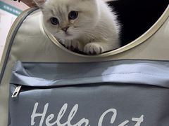 -派特宠物医院(圆融广场店)