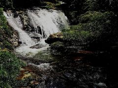 -龙苍沟森林公园