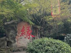 -杭州黄龙洞