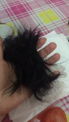 -龙文宝贝上门婴儿理发满月剃胎毛(总店)
